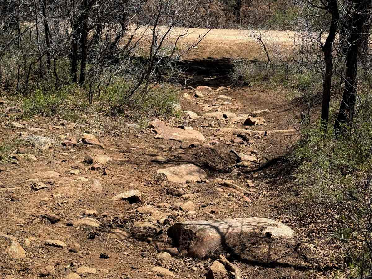 OV350843 trail photo