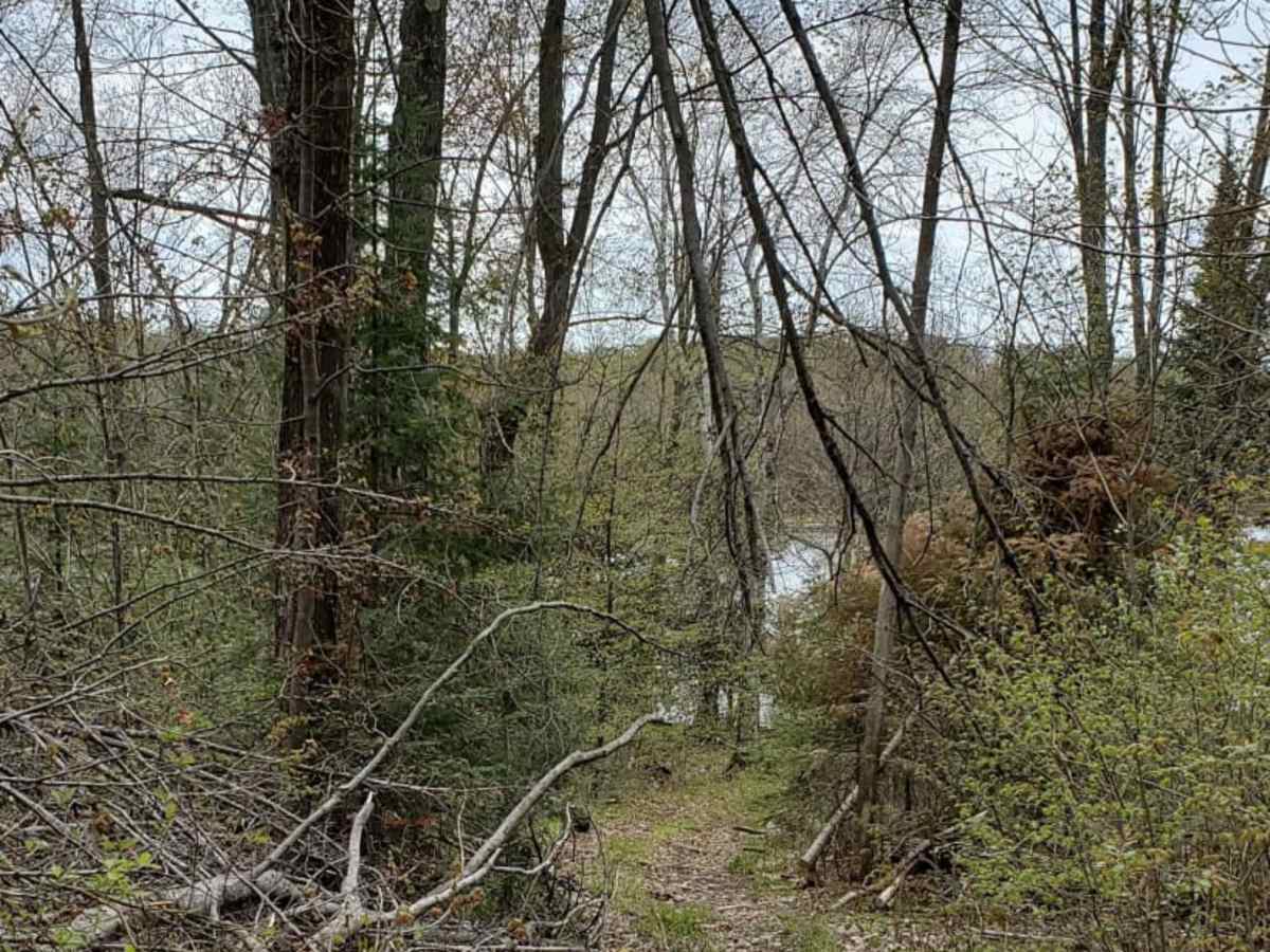 Minito Lake trail photo