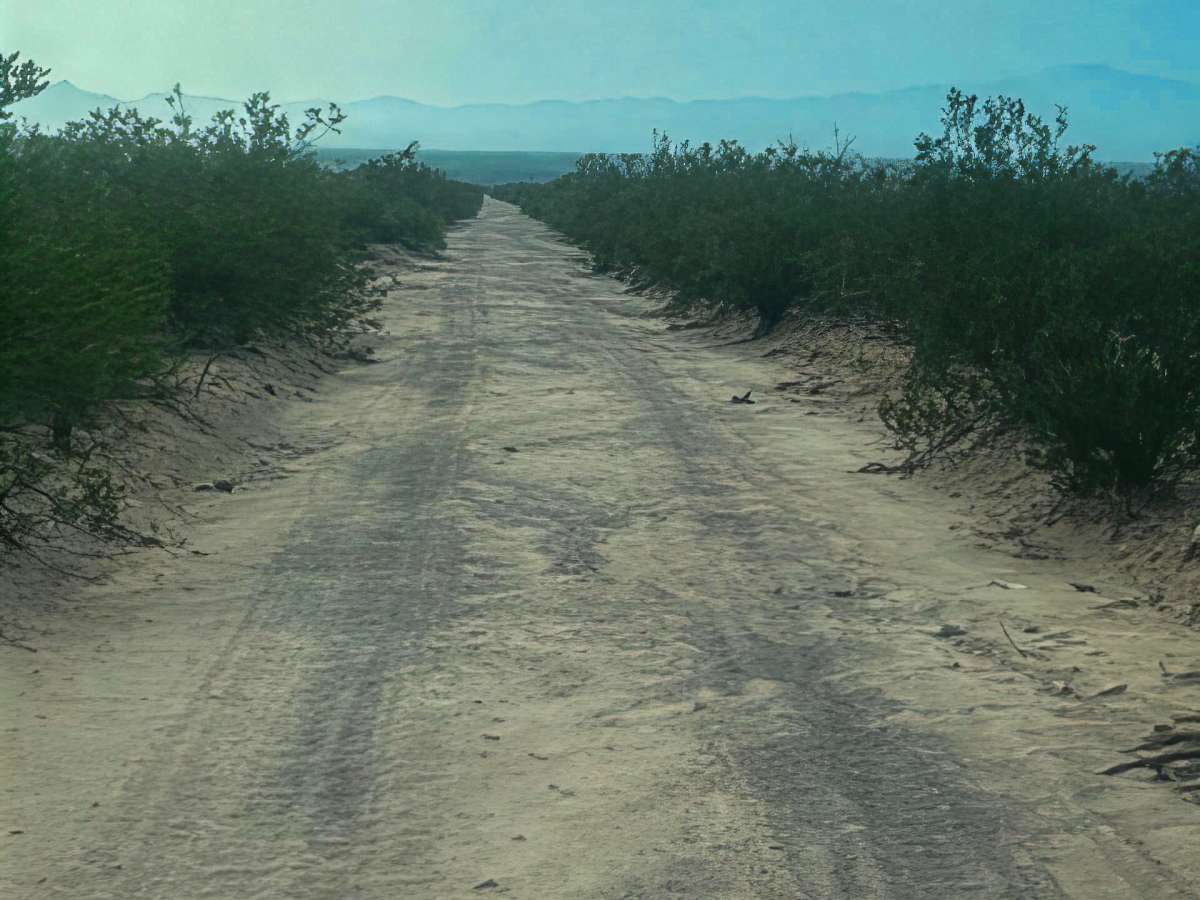 Ss1127 photo 4