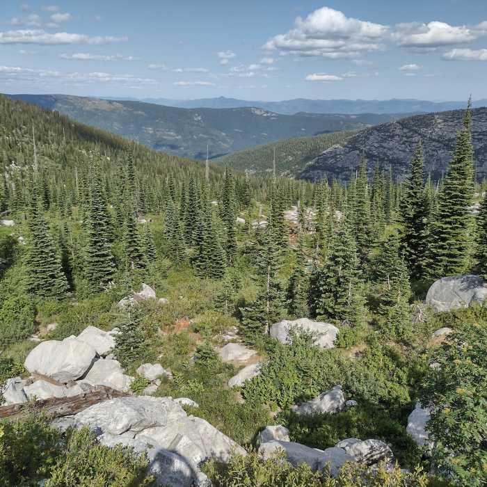 Near Fault Lake Trail #59