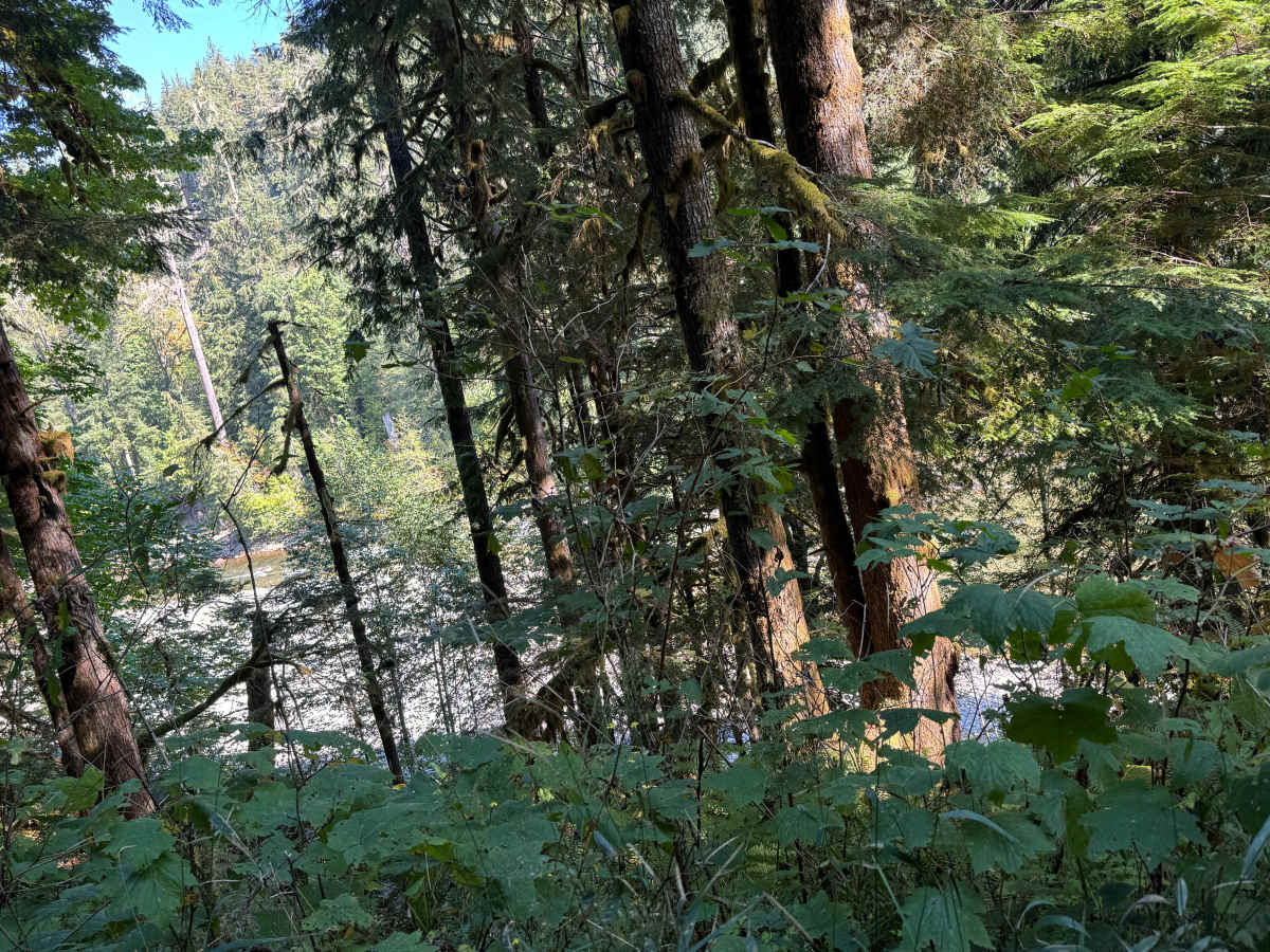 Peekaboo Lake Trail photo 4