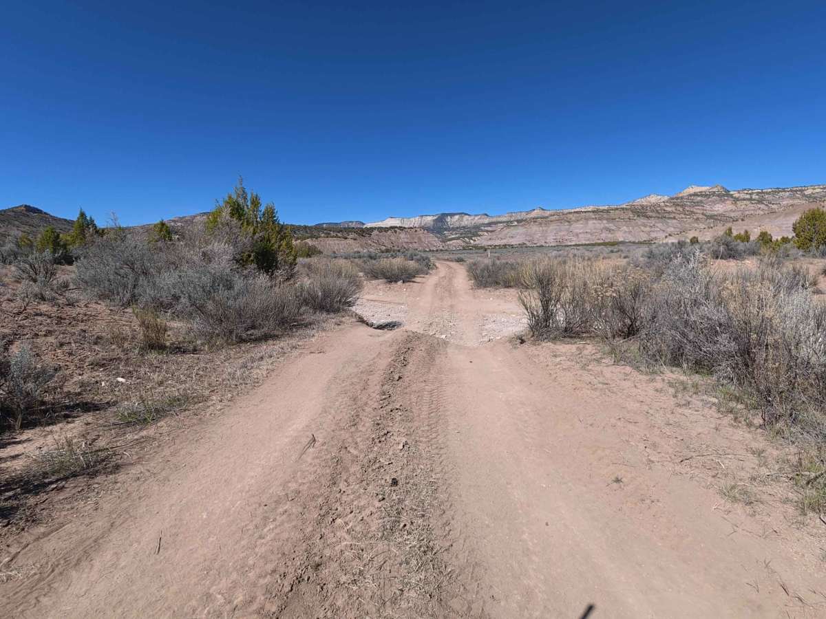 BLM V 3/10 photo 6