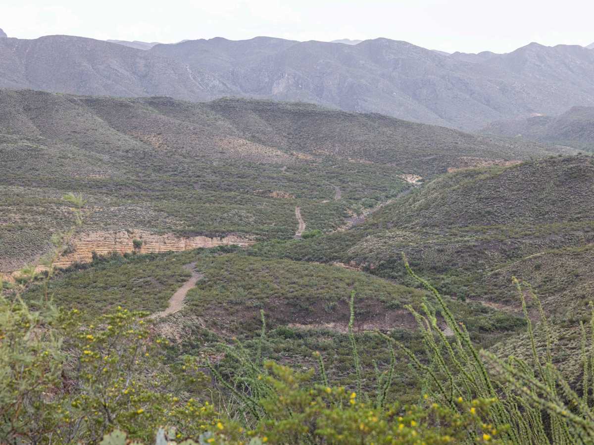 BBRSP Fresno Canyon Rd. photo 3