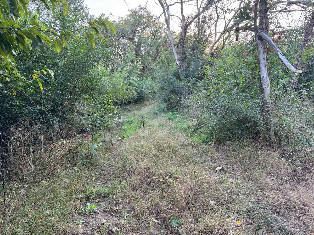 Horsepower Run trail photo