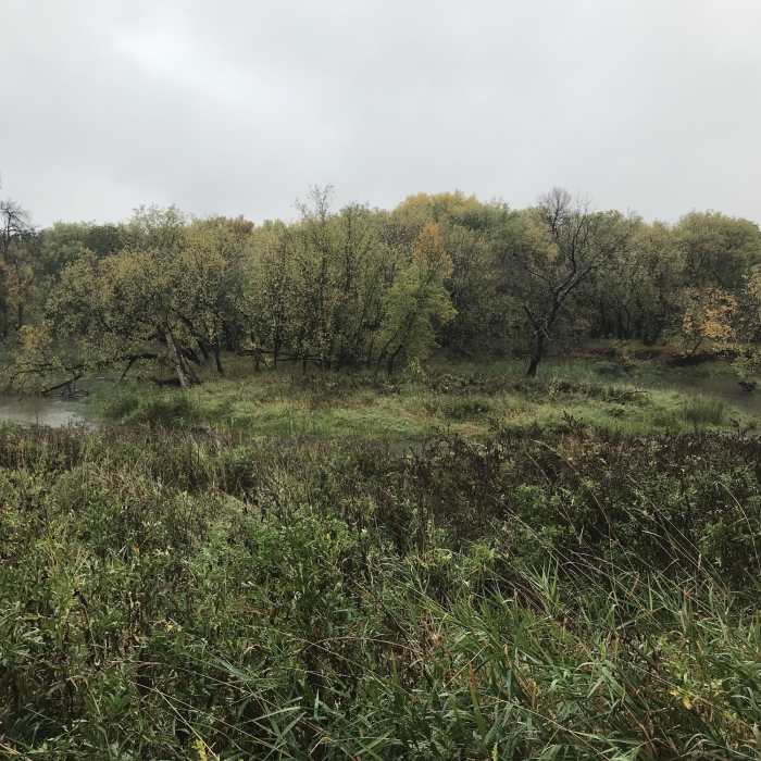 Near Lion's Conservancy Park