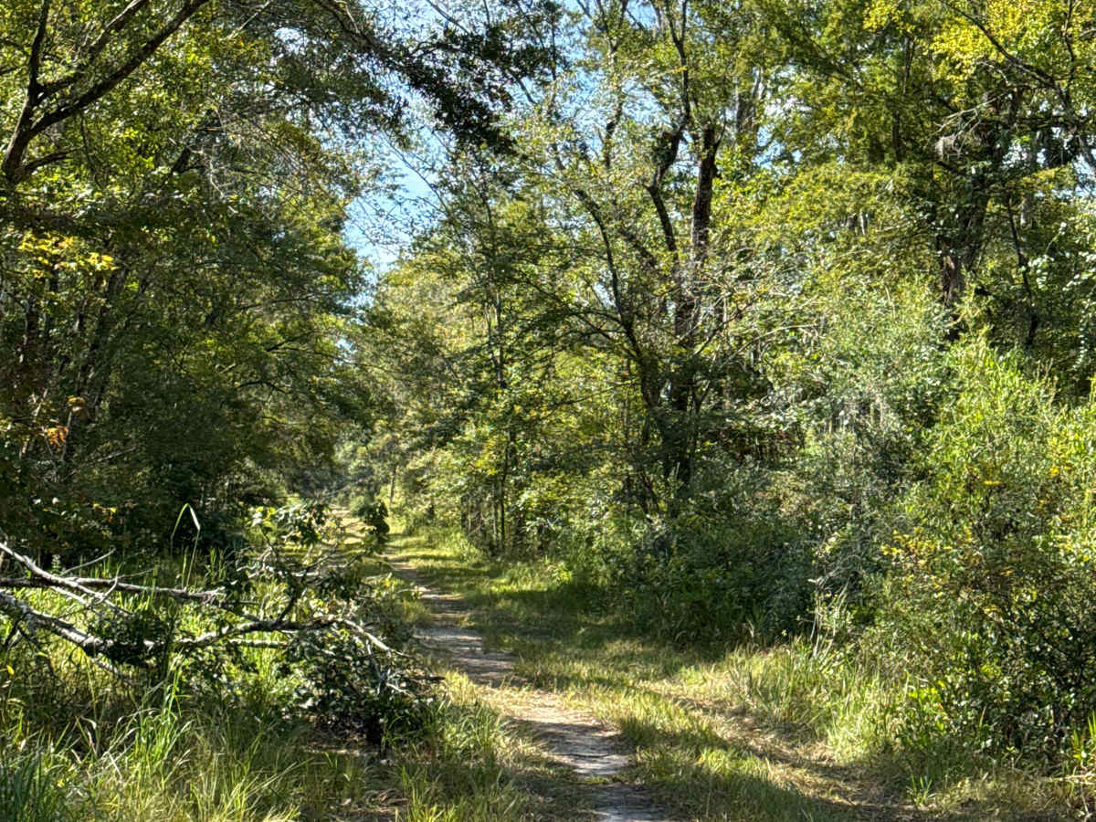 Warbler Loop South photo 3