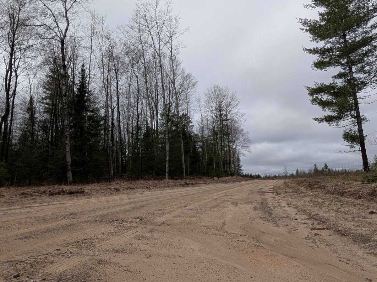 Manistee River Road Southeast photo 2