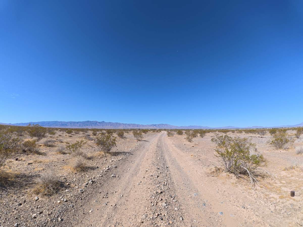 Indian West photo 6