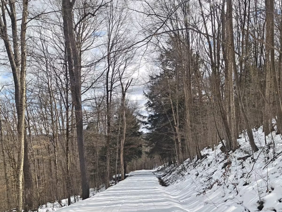 County Line FSR 120 trail photo