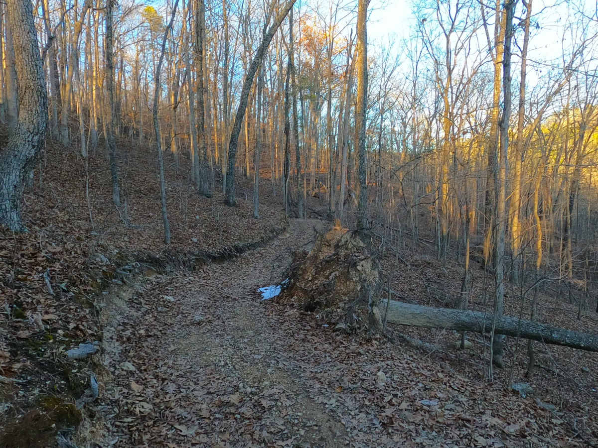 Sutton Bluff ATV 2 - SB 2 photo 6