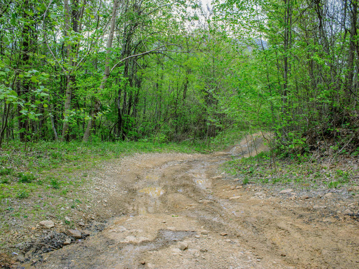 Emily Cemetery Road photo 3