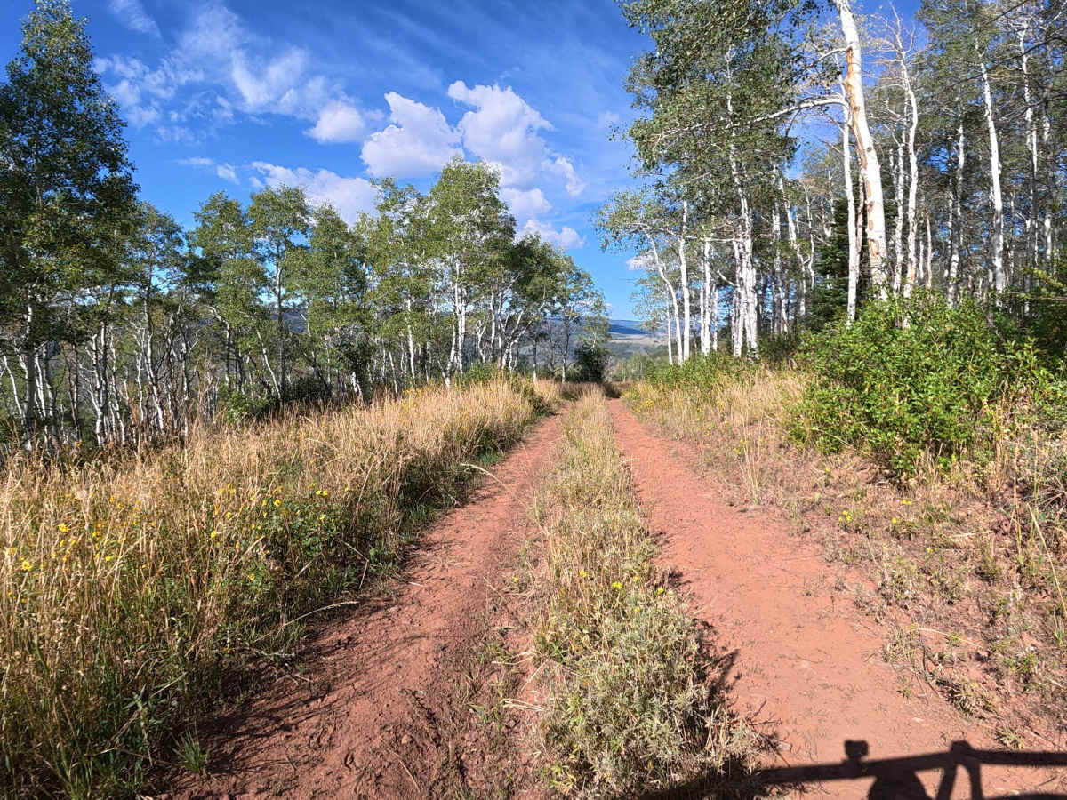 Big Ridge Road - FS 243 photo 2