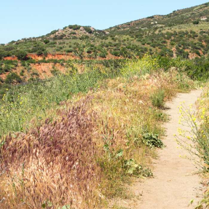 Near Horse Thief Loop + Historic Flume Trail