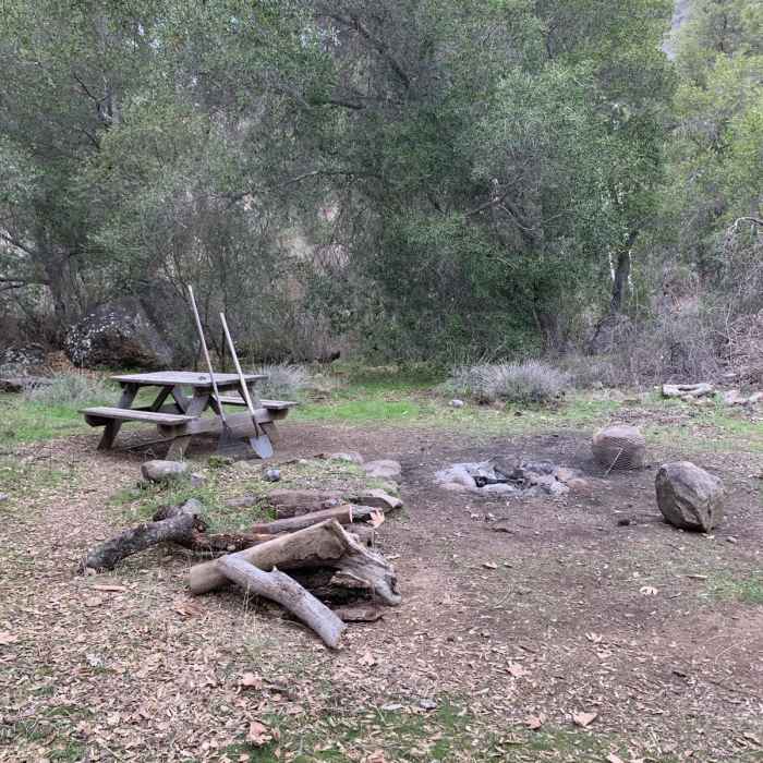 Near Blue Canyon Camp Loop