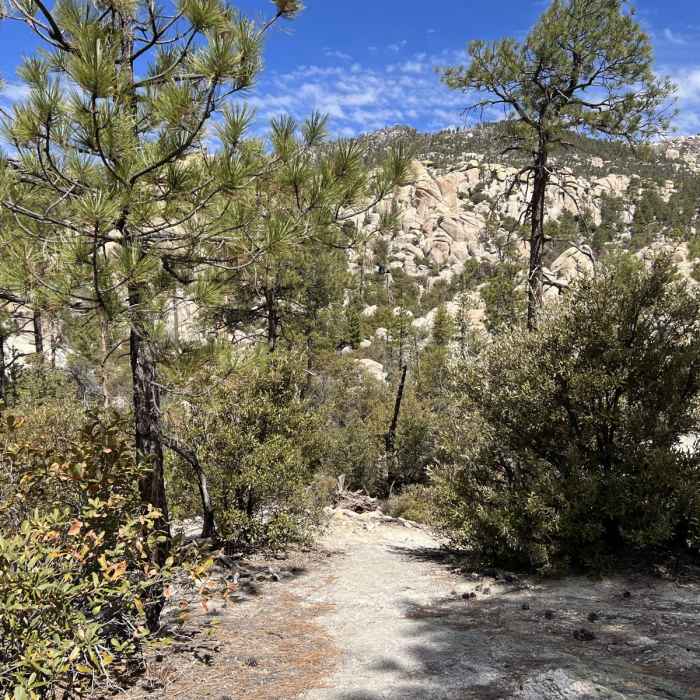 Near Sutherland Loop