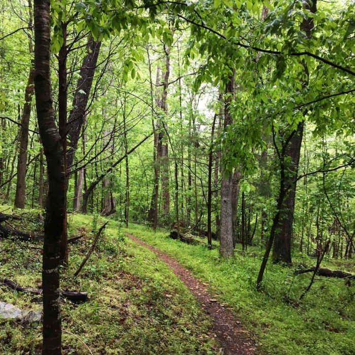 Near Wood Duck Way
