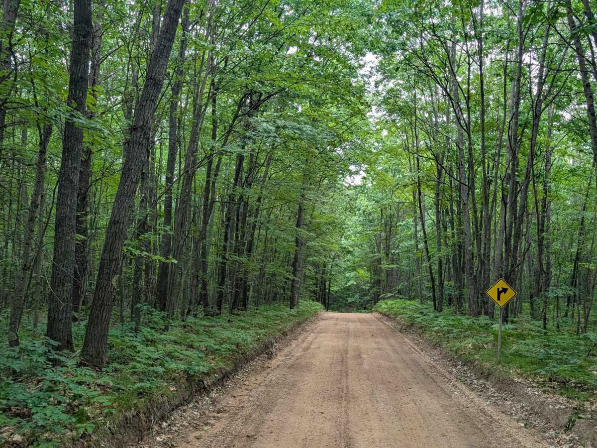 West Higgins Route Section 2 photo 5