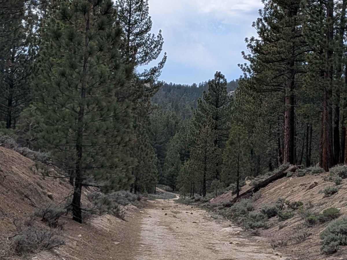 North Rattlesnake - FS 24S33 photo 4