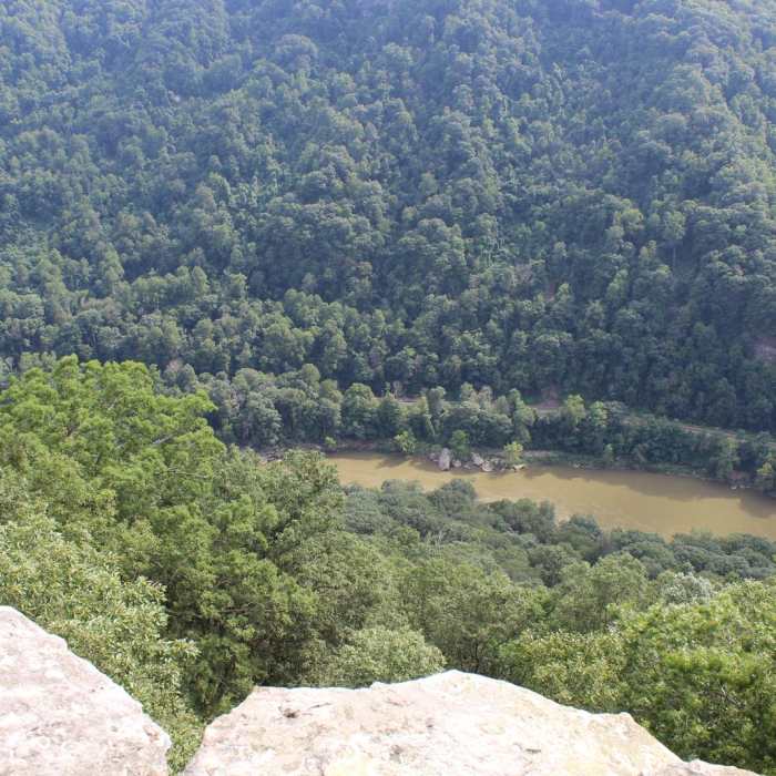 Near Long Point Trail