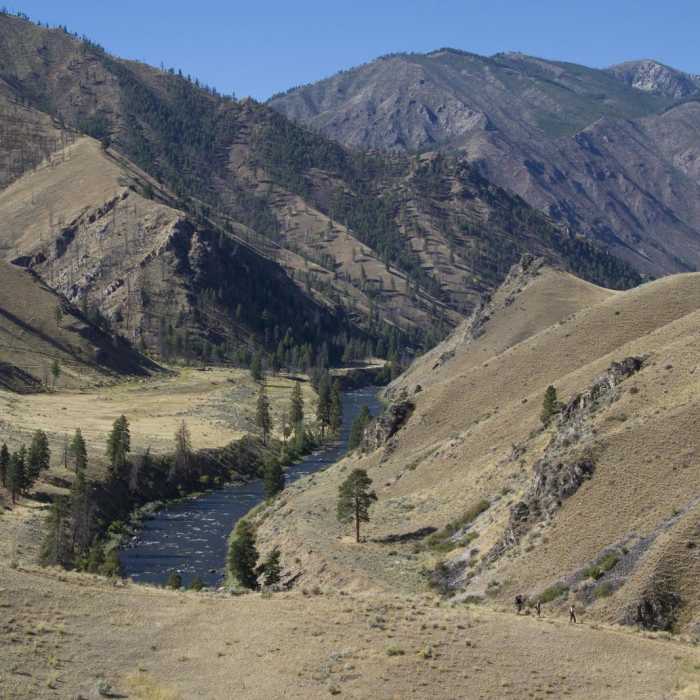 Near Middle Fork of the Salmon River Trail a Day 4