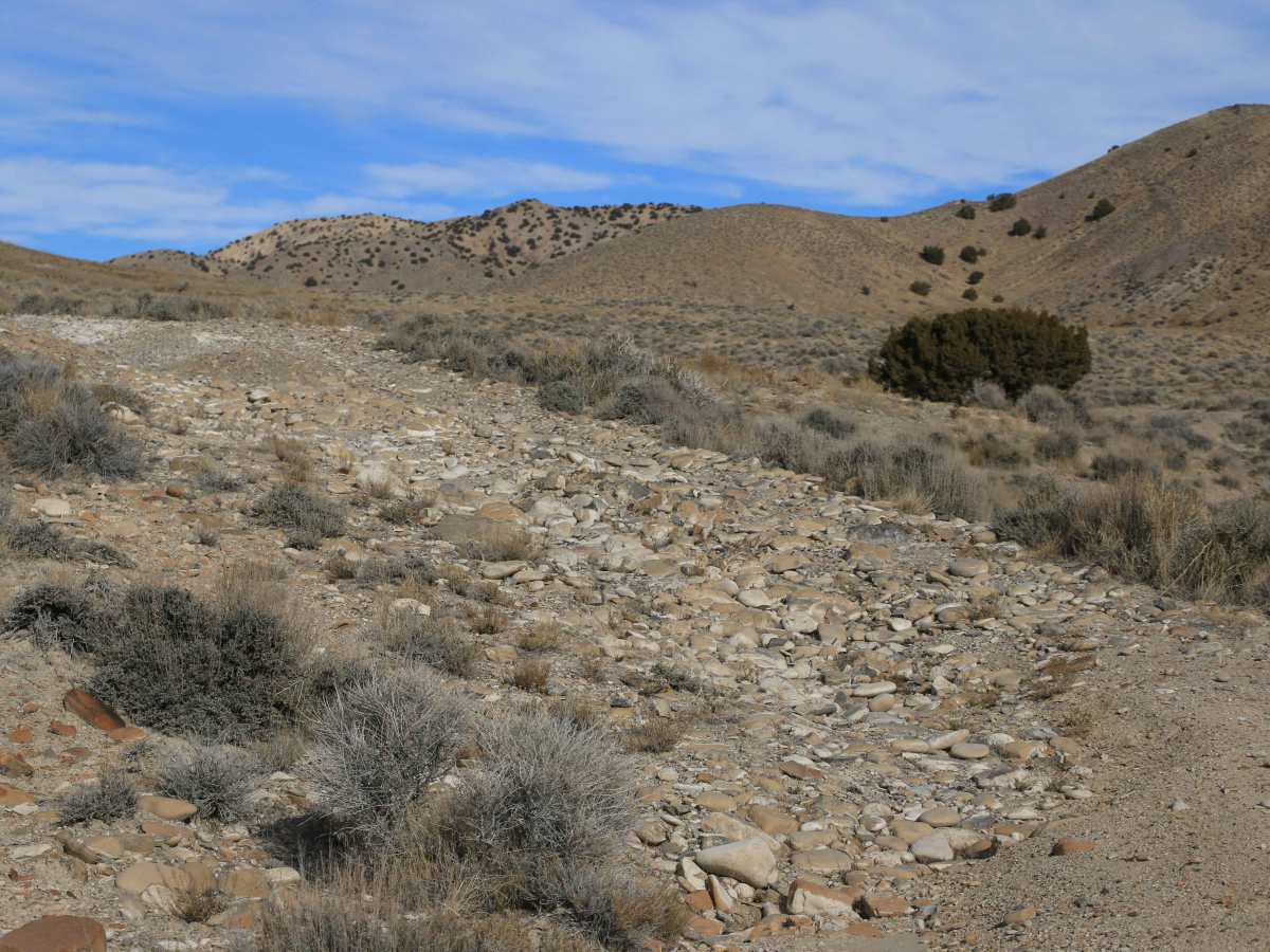 Ripple Valley Road 2.0 photo 3