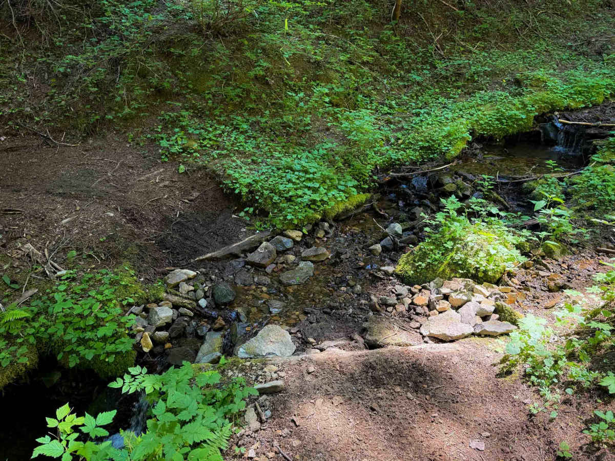 Silver Creek Trail - 258 photo 4