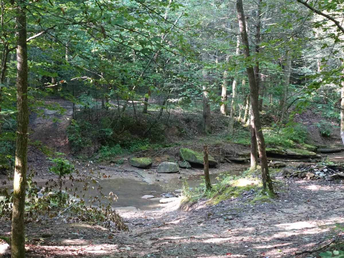 Jellico Creek Road photo 2