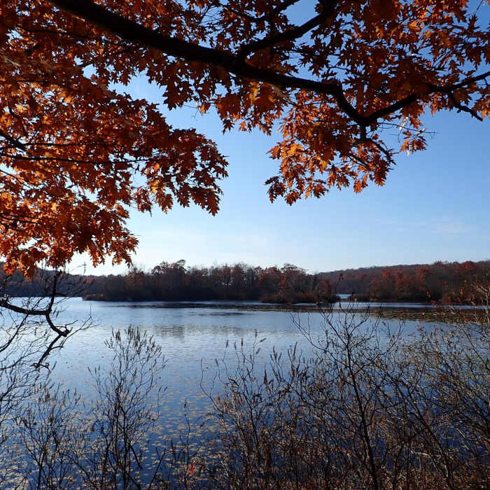 Near Ramapo Lake - Castle Point Loop