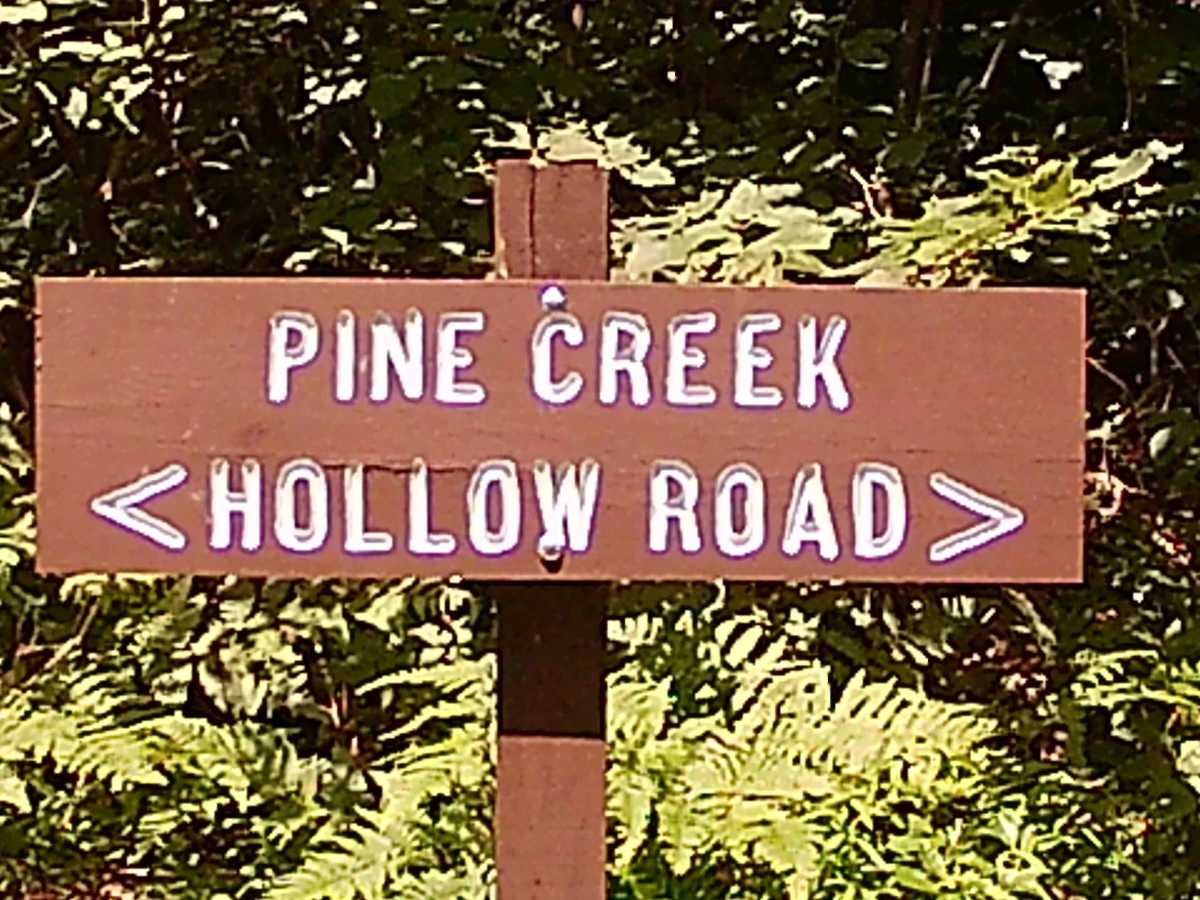Pine Creek Hollow Road photo 5