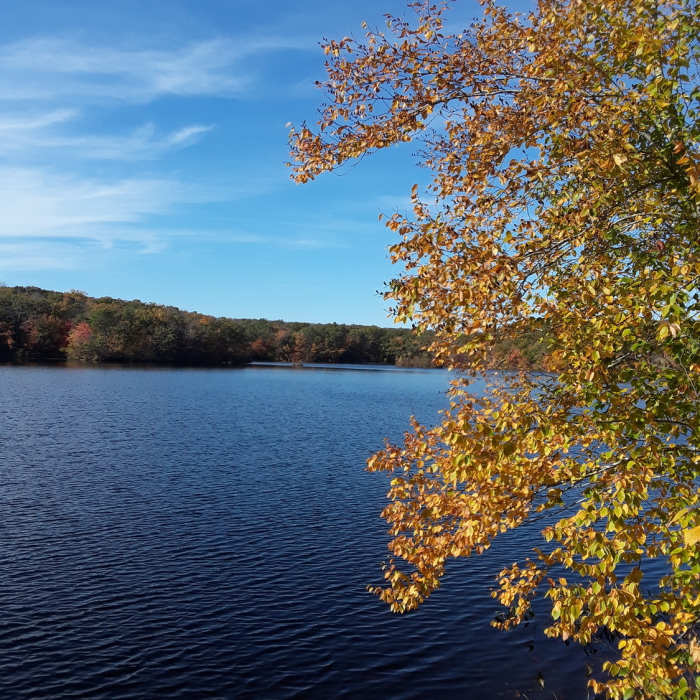 A blue autumn day on the pond. Near Green Falls Narragansett Loop