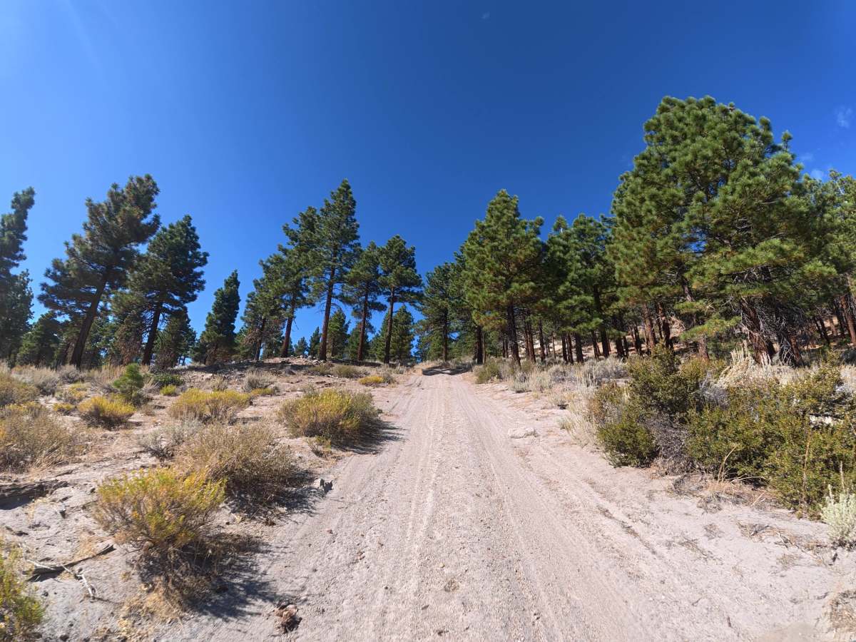 Long Valley Caldera photo 5