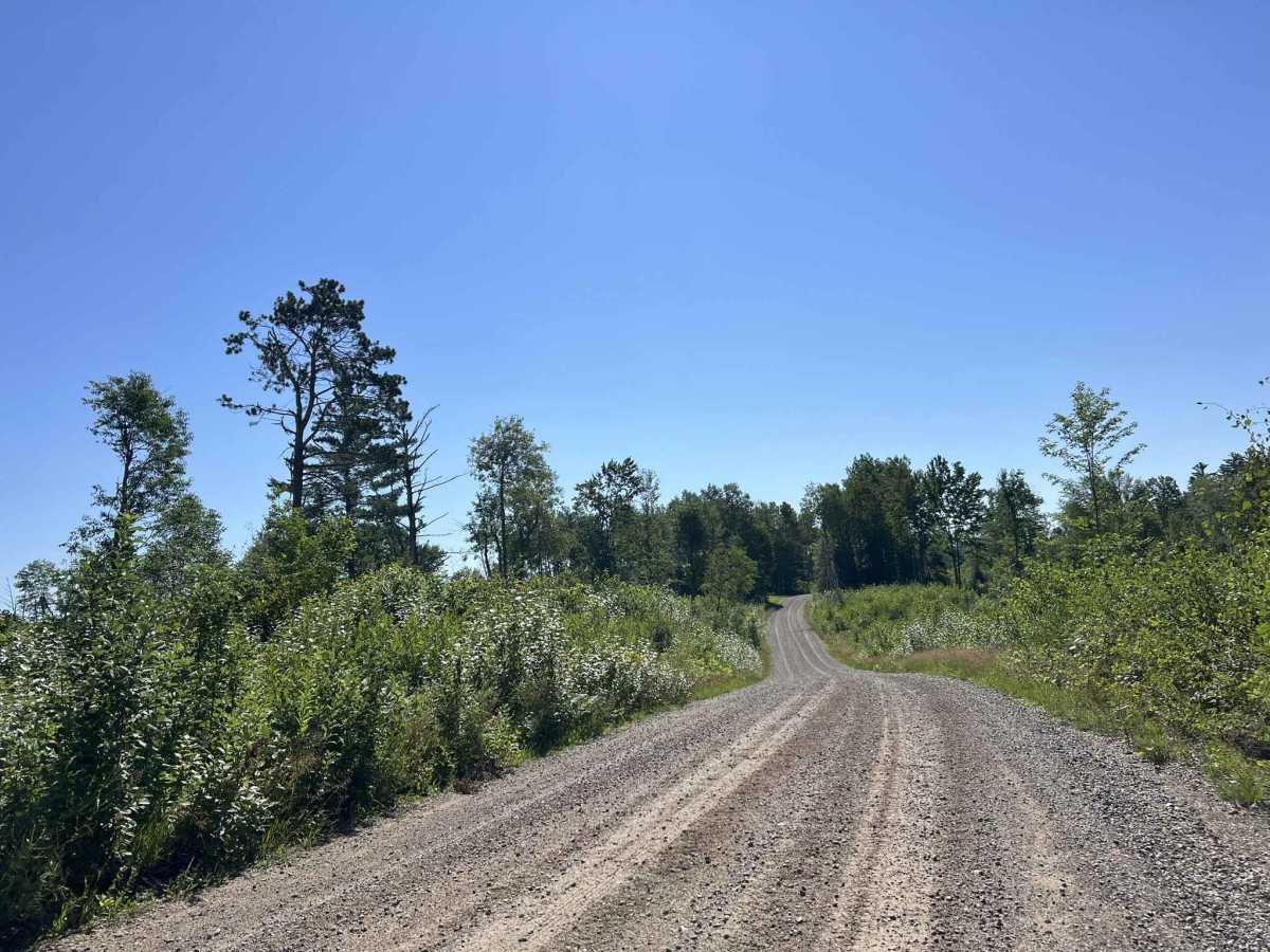 FS 2398 trail photo