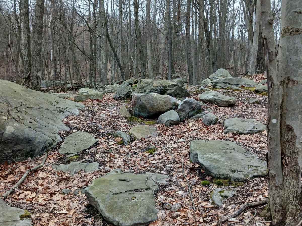 OHV 56 - Rock Run Recreation Area trail photo