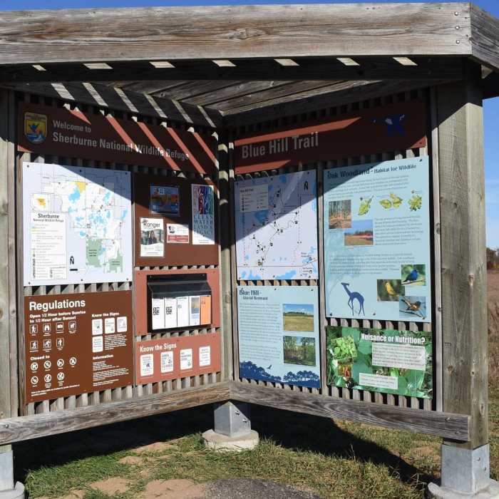 Near Blue Hill Trail Near Blue Hill Trail