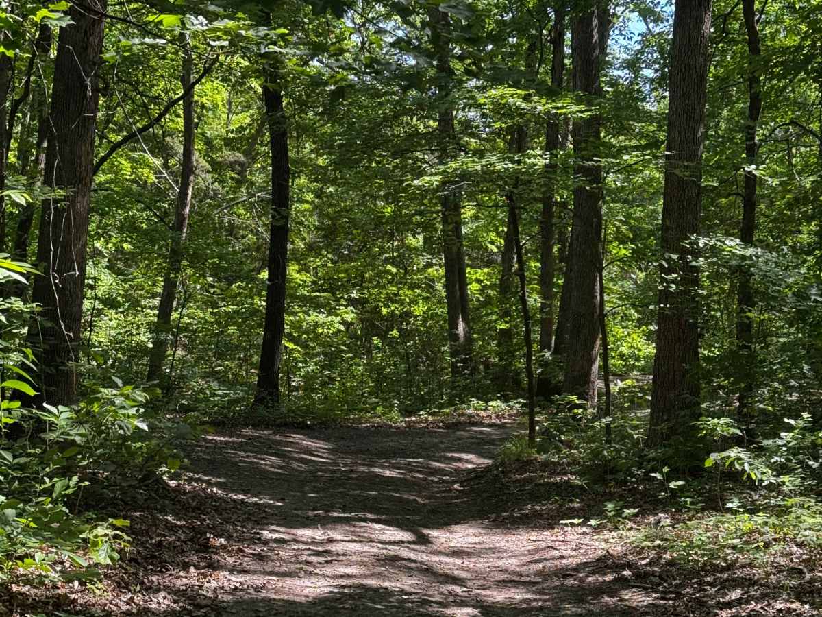 Inner Track 27 photo 3