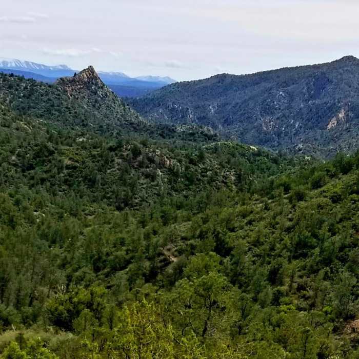 Overlook Near Towel Creek Trail #67