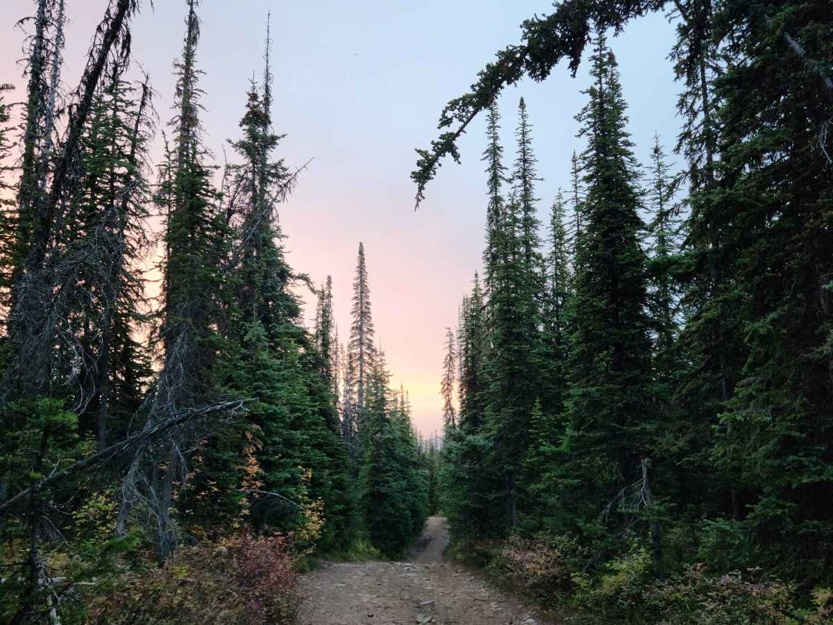 Hawkins Lakes photo 3