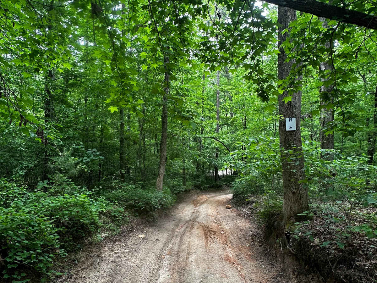 Trail 17 photo 4