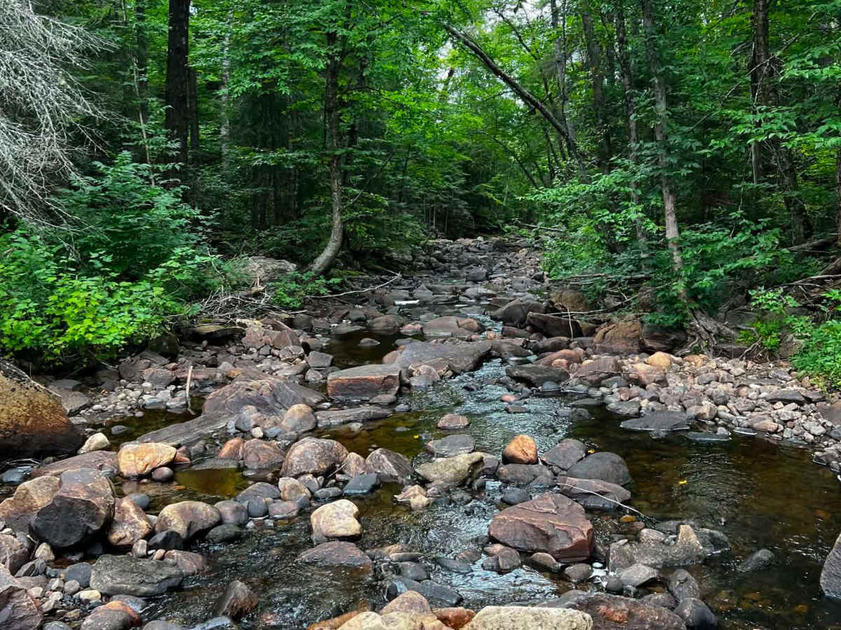 Oxtongue trail photo