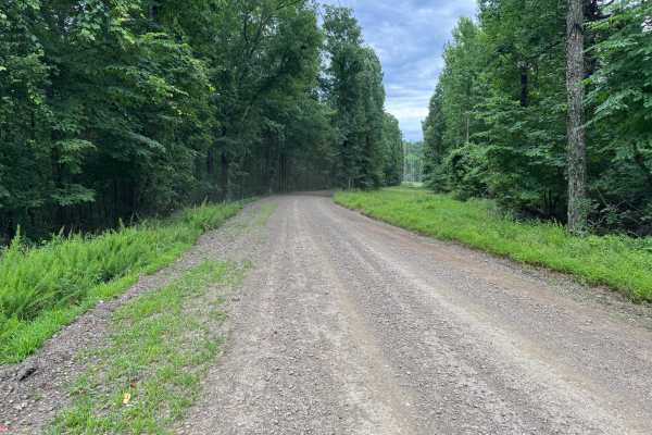County Road 4141