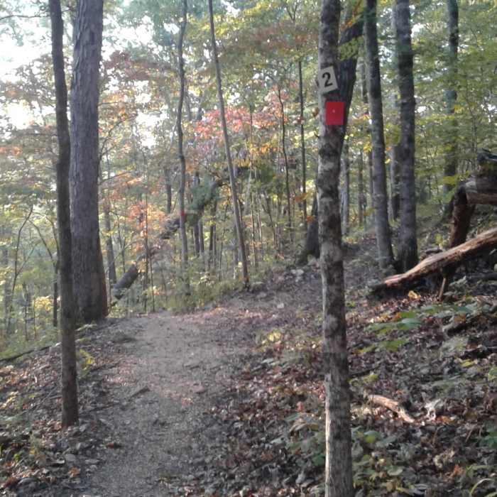 Near Painter Ridge Trail - North Loop