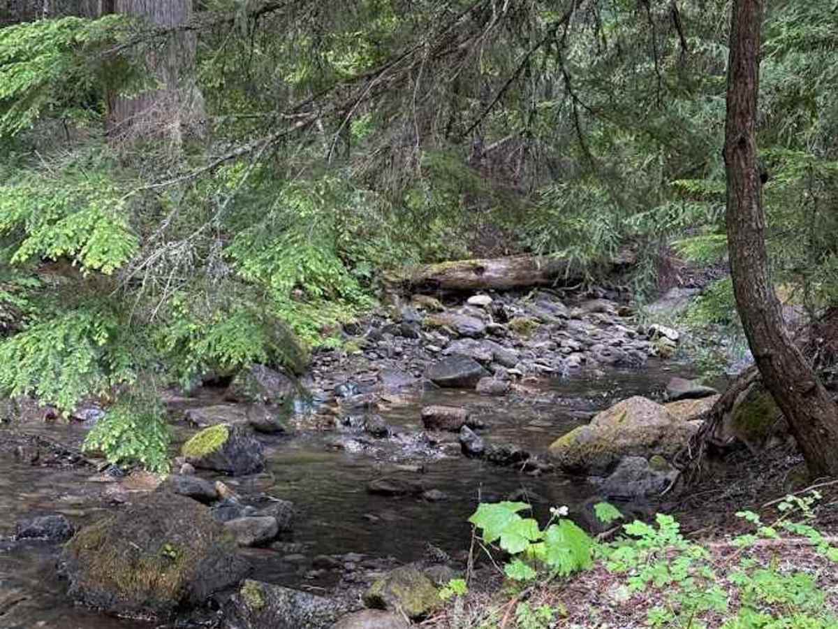 Log Creek - FS 4110 photo 6