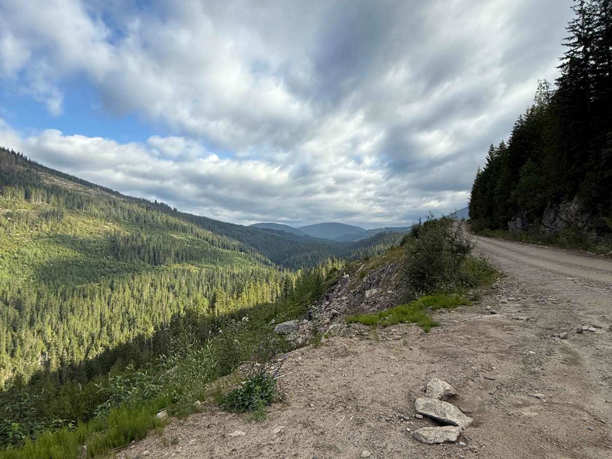 Scotch Creek FSR trail photo
