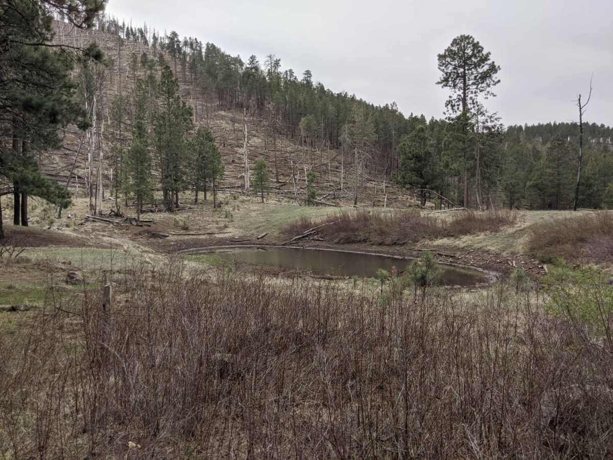 Old 190 Kendrick Trailhead photo 6