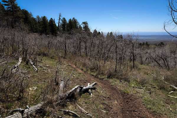 Trust Lands Singletrack 