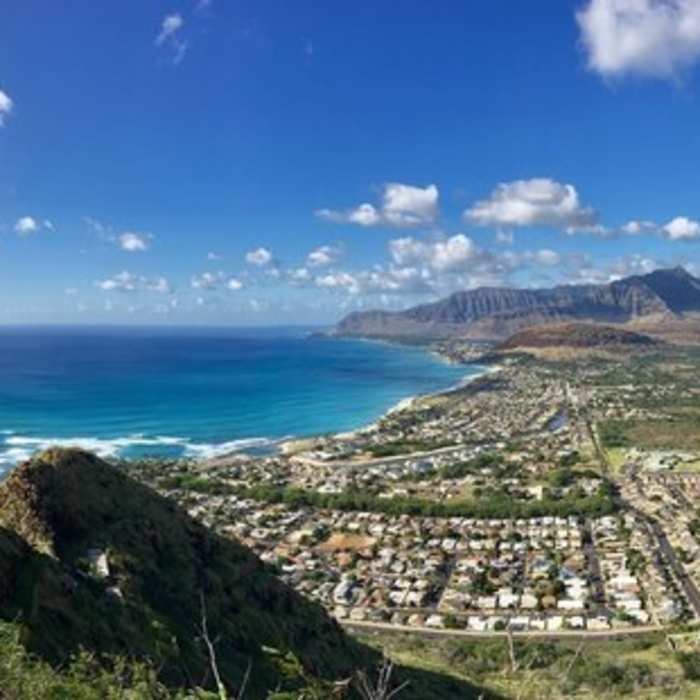 Near Pink Pillbox Trail (AKA Pu'u O Hulu Trail)