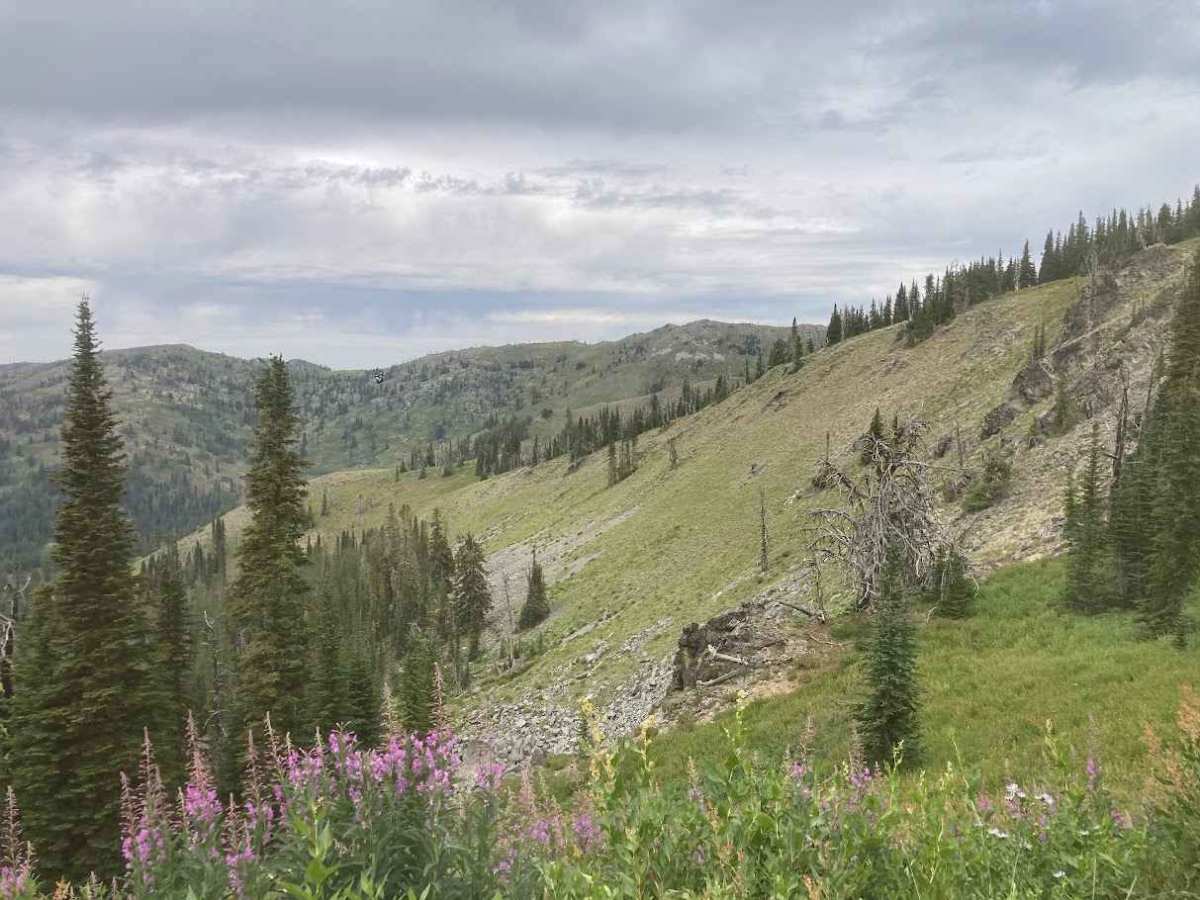 Black Lake photo 4