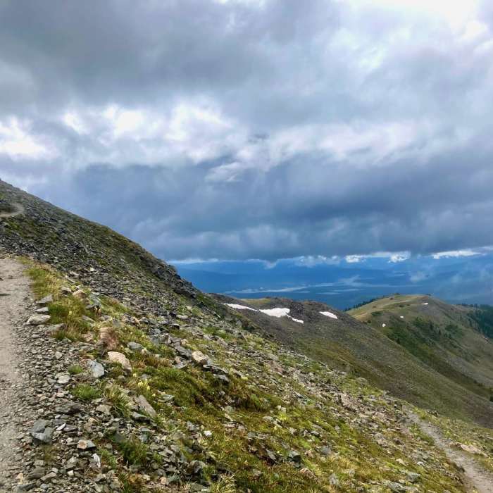 Near Colorado Trail: Collegiate West Segment 3