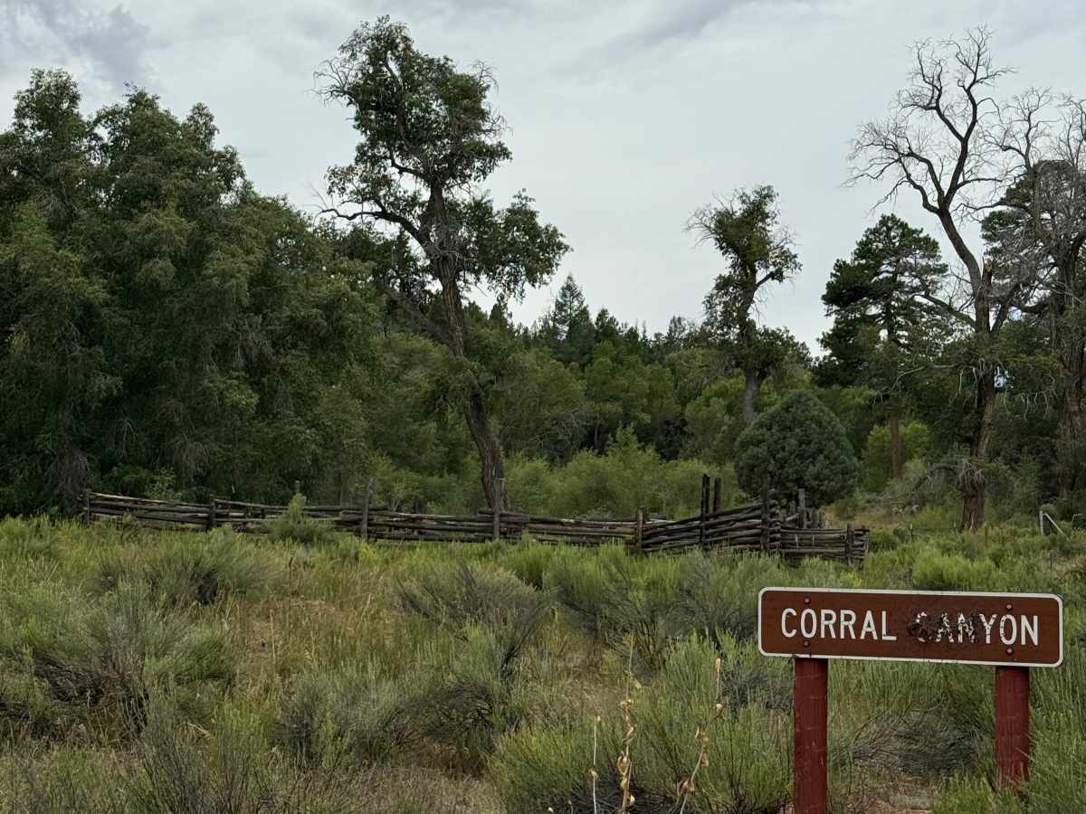Capulin - FS 76 photo 6