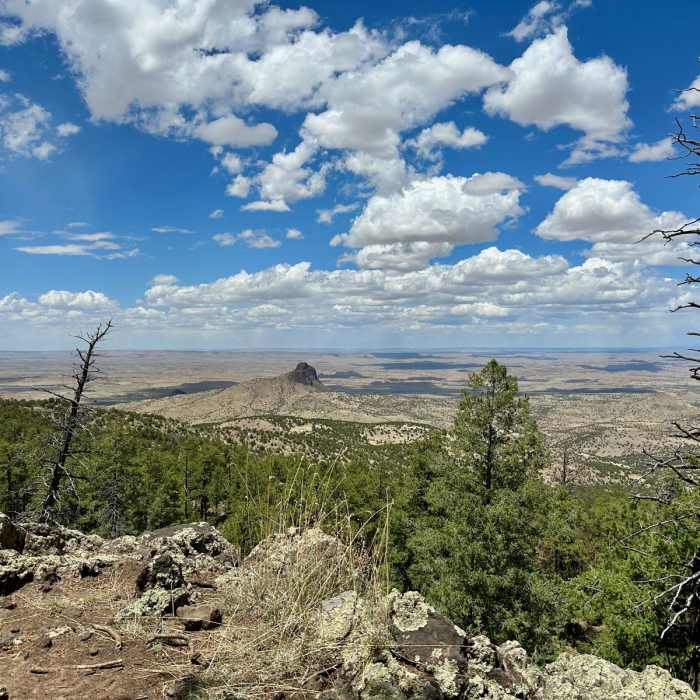 Near CDT: New Mexico Section 23